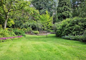 Optimiser l'expérience du jardin à Cornillon-sur-l'Oule